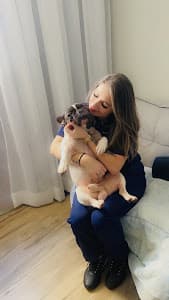 Lily Vet Atendimento domiciliar em null