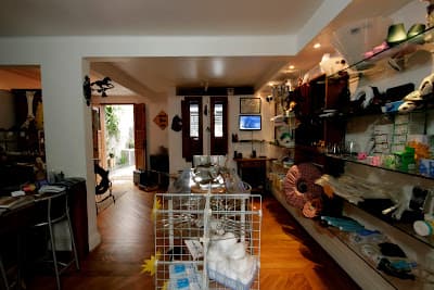 Ortovet - Qualidade Máxima para o Médico Veterinário em null