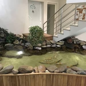 Psicóloga Miriam Albuquerque | Terapia de Casal e Individual em null