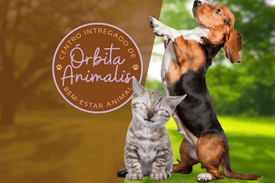Órbita Animalis - Clínica Veterinária, Creche, Banho e Tosa - Hotel para Pets em Santana São Paulo em null