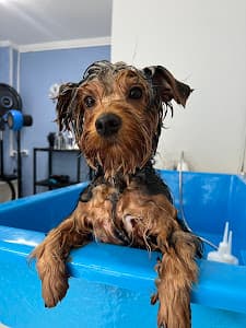 The Grooming Lab - Morumbi em null