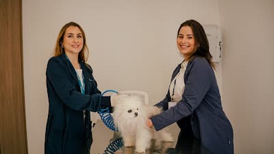 Armazém dos Bichos em null